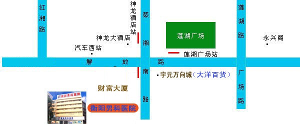 衡阳北大泌尿医院电子地图